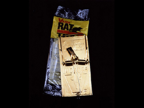 Artist: Bob Van Breda, Title: Rat Trap - click for larger image
