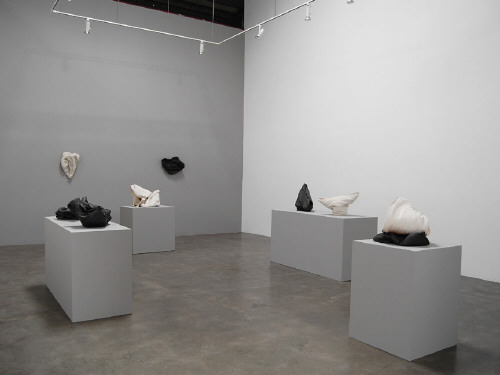 Artist: Cheryl Ann Thomas, Title: Gallery Installation View - click for larger image