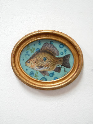 Artist: Cindy Kolodziejski, Title: Shitting Fish, 2011 - click for larger image