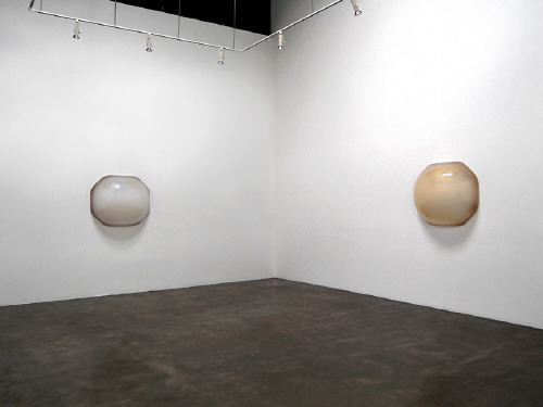 Artist: Craig Kauffman, Title: Installation View (left to right): Lansones, 2007; Durian, 2007 - click for larger image