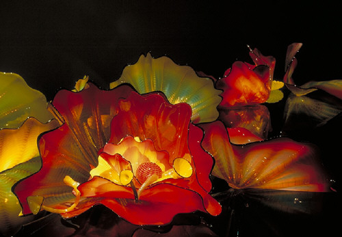 Artist: Dale Chihuly, Title: Scarlet Lake and Yellow Madder Persian Set with Black Lip Wraps, 2003 photography: Terry Rishel - click for larger image